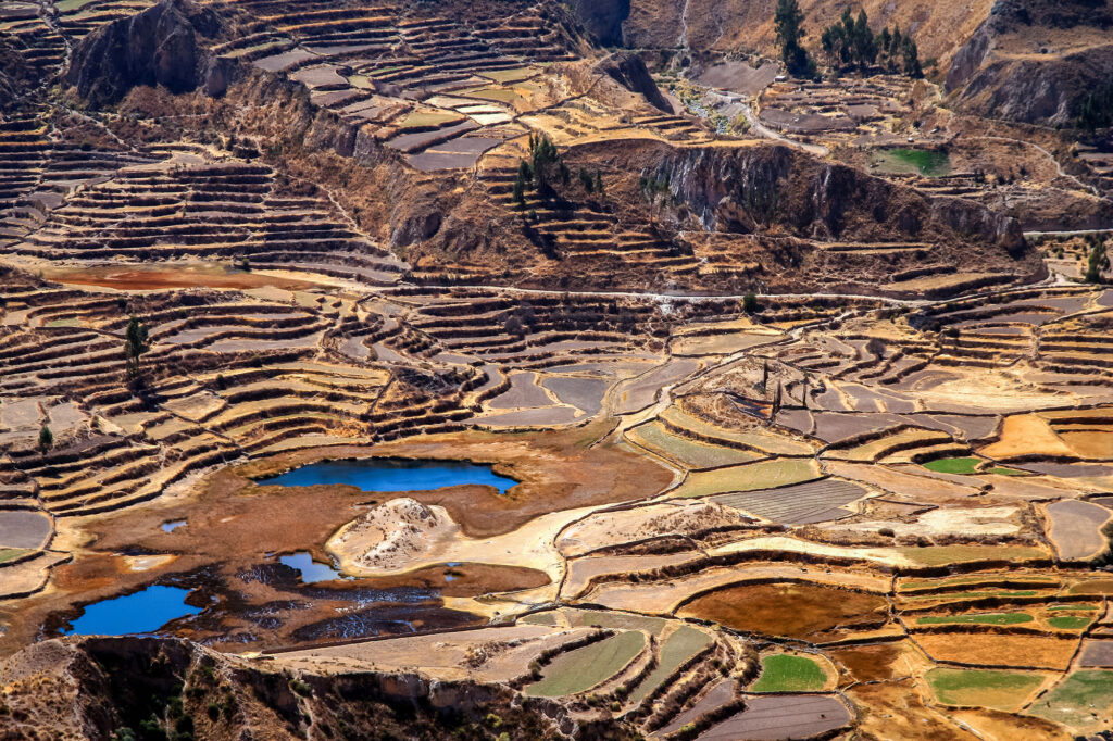 Aerial telephoto view of extensive pre-Inca and Inca agricultural terraces — andenes — covering the canyon walls and valley floor of Colca Canyon, Arequipa Region, Peru, with two small irrigation reservoirs reflecting blue sky and a patchwork of fallow, planted and irrigated terrace fields.